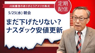 まだ下げたりない？ナスダック安値更新【アメリカ株 SP500】