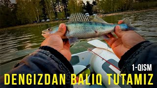 Baliq qayerda? Dengizdan zander/sudak tutish (1-qism)