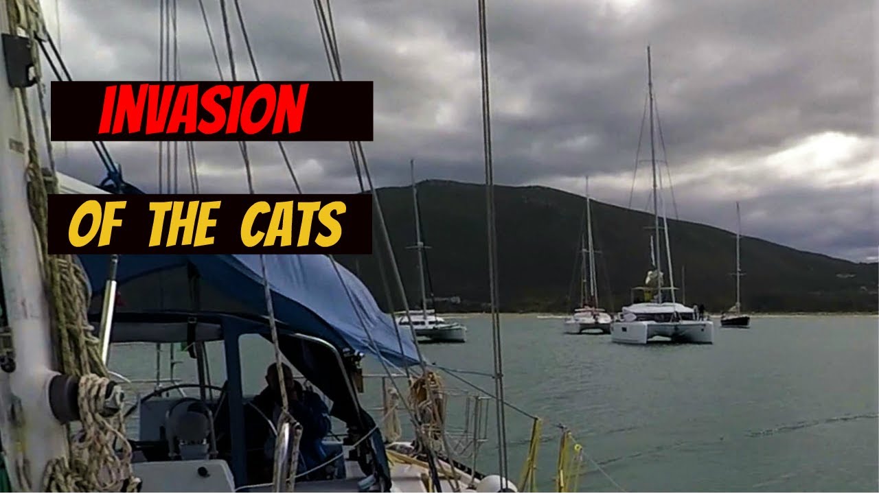 Invasion of the Cats [Ep 8] Sailing Salacia Star