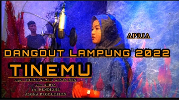 lagu  Lampung terbaru 2022 • TINEMU• cipt. ALVIA NRN / DIKA BAKAL • VOC Apria • arr rendione