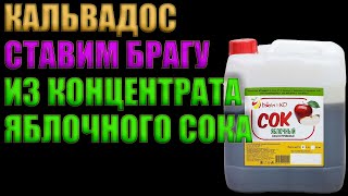 КАЛЬВАДОС | БРАГА ИЗ КОНЦЕНТРАТА ЯБЛОЧНОГО СОКА ДЖЕМКА