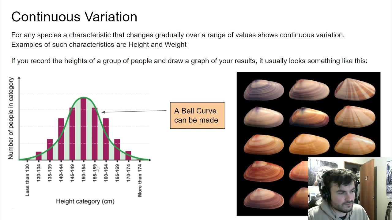 Continuous and Discontinuous variation YouTube