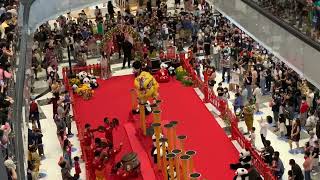 Lippo Mall Puri proudly present Barongsai Kong Ha Hong, Imlek 2022