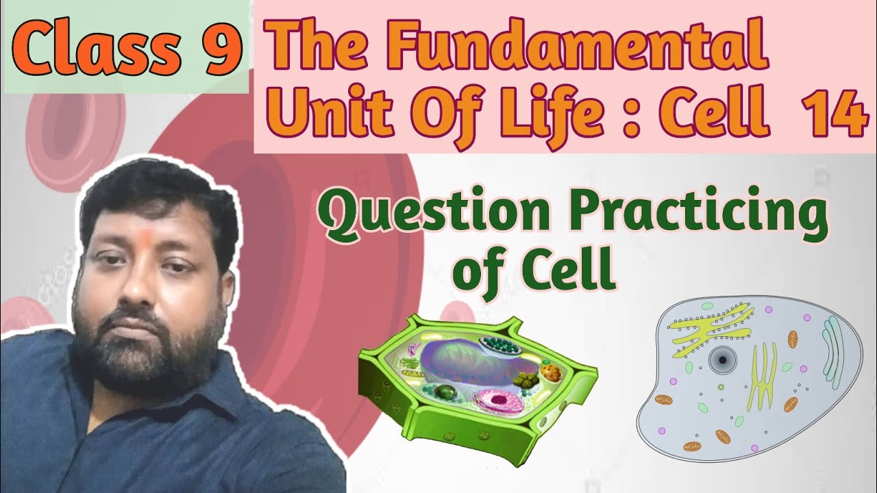 case study based questions on cell class 9