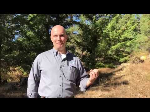 dnr meaning tagalog A Plan for Play in Teanaway