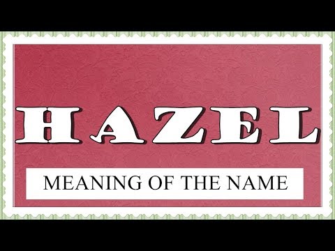 Video: Wat Is Hazel