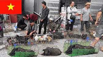 Traditional Vietnamese Market - Discovering Rural Cuisine