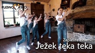 Video thumbnail of "Zapleši z nami: JEŽEK TEKA TEKA (Živali jeseni - M. Voglar) | Plesno Mesto"