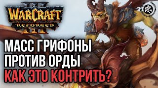 МАСС ГРИФОНЫ ПРОТИВ ОРДЫ, КАК КОНТРИТЬ?: Warcraft 3 Reforged