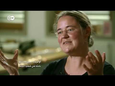 وثائقي | غابات تايغا أكبر غابات العالم و رئة روسيا الخضراء في خطر | وثائقية دي دبليو