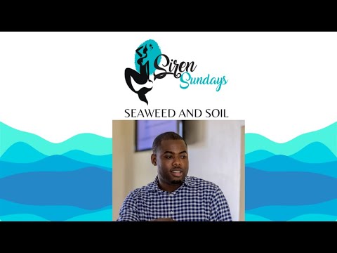 Seaweed and Soil