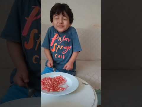 أغنية فار الصندة الرمان Shorts