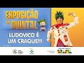 Exposição de Artes: Ludovico é um craque!!! | Quintal da Cultura