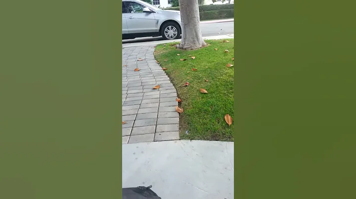 Crazy man
