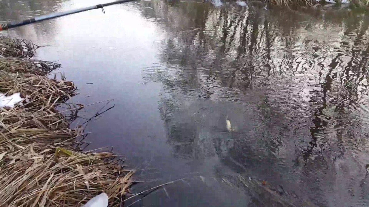 Озеро маян рыбалка. Рыбалка в черной речке КБР. Рыбалка на реке малка в КБР. Озеро Майский КБР. Рыбалка в Майском КБР.