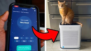 Is The Levoit Vital 200S The Best Air Purifier 2024? | Full Setup