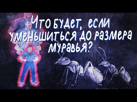 Что будет, если уменьшиться до размера муравья? | Black Science