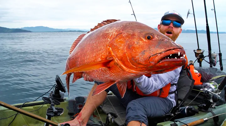 Offshore Kayak Fishing: BIGGEST Snapper on Earth! (CATCH CLEAN COOK)