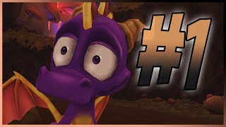 Прохождение The Legend of Spyro: A New Beginning - Часть 1 | PS2, GC, XBOX, DS, GBA