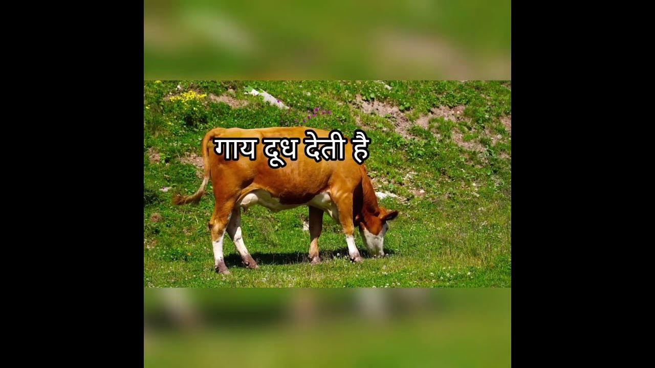 NAVEEN HINDI PARICHAY NEW BOOK. LESSON 1.ENGLISH MEANING AND ENGLISH