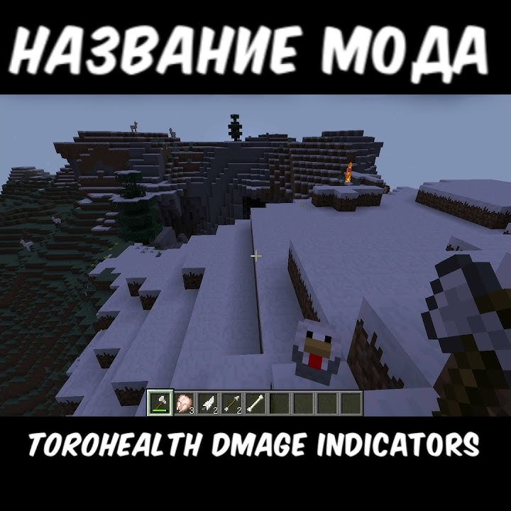 Minecraft torohealth damage indicators youtube