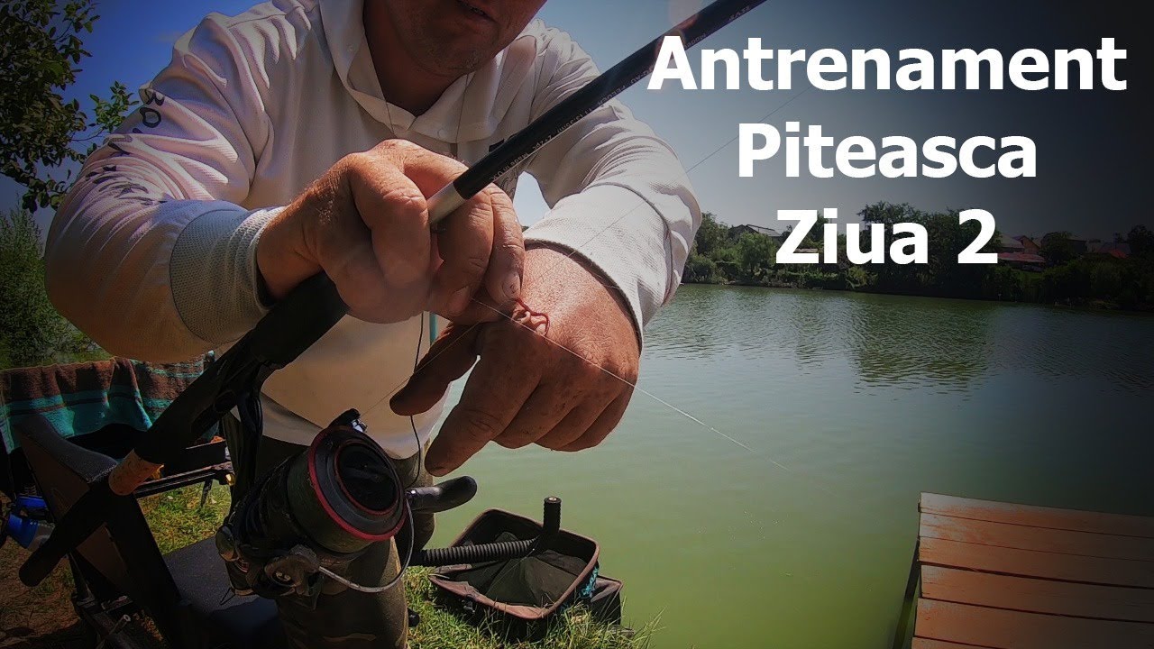 Pescuit la feeder . Antrenament Piteasca 2 Ziua 2