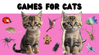 Cat Games Compilation [2 HOURS] Vol.2  Mice, Monkeys, Butterflies, Ants... Different scenarios!