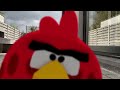 ANGRY BIRDS in REAL LIFE ANIMATION