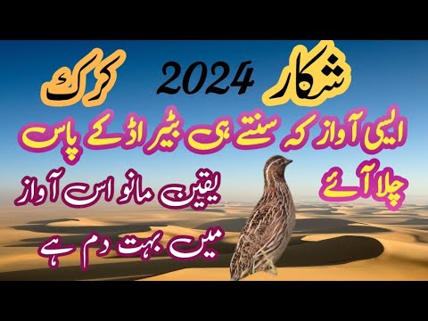 Kirk baterfemale bater ke awazshikar kay liay2024