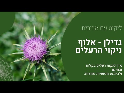 וִידֵאוֹ: האם עלי להשתמש בזרעים נשיים?