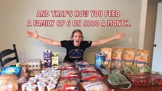 $65 Two Week Grocery haul for a Large Family | The BEST deals I've ever found!