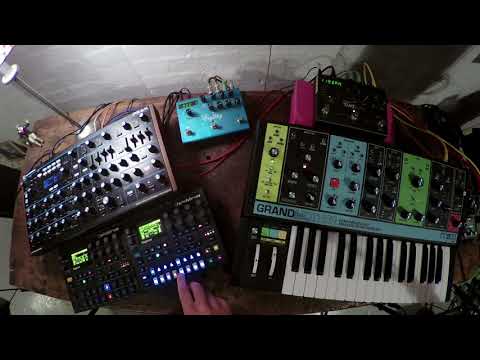 Moog Grandmother, Digitone, Digitakt & Peak - A 45 minute set