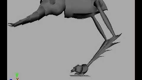 Insect Creature Animation