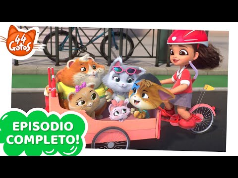 44 Gatos |