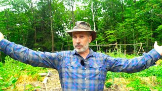 How to Grow Food in a Northern Forest | Forest Garden Update