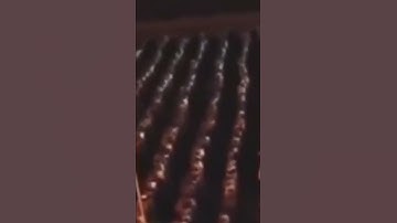 تلاوة مؤثرة يرق لها القلب  - الشيخ يونس اسويلص (وَيُنَجِّي اللَّه الَّذِينَ اتَّقَوا