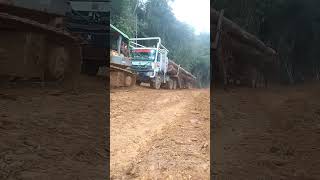 Logging Truck Marzedens naik bukit di bantu Dozzer #hutan #kalimantan #kayu #loggingtruck