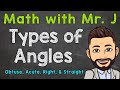 Types of angles  obtuse acute right  straight angles