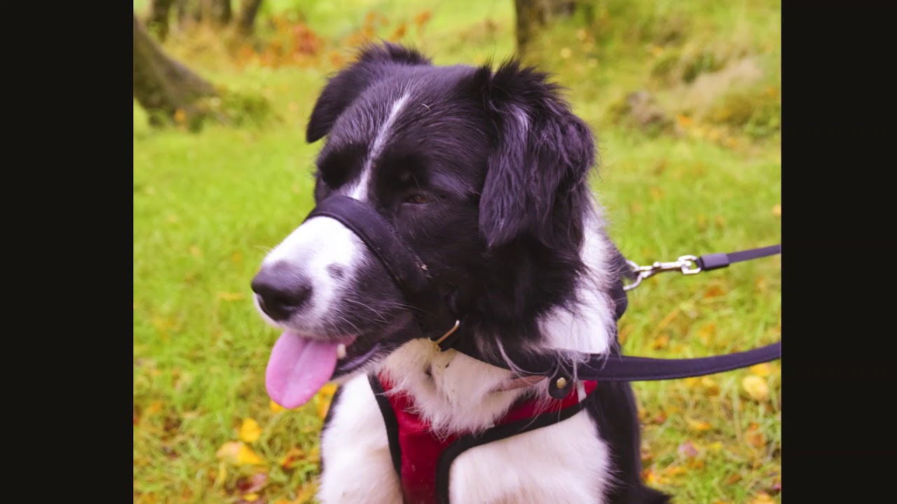 Walk around Yew Tree Tarn from Coniston - Lake District