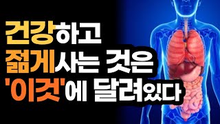 건강하고 젊게사는 것은 이것의 해독능력에 달려있다