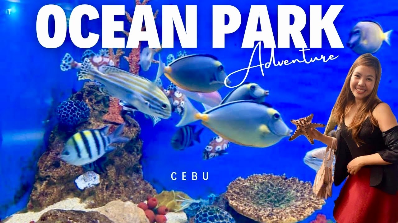 oceanarium restaurant buffet price oceanarium restaurant buffet price