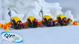 Pingu In Competition 🐧 | Pingu - Official Channel | Cartoons For Kids