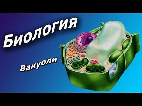 Вакуоли