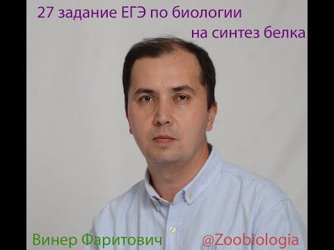 Задание 27 ЕГЭ по биологии. Синтез тРНК напрямую с ДНК