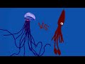 Dcba colossal squid vs portuguese man owar