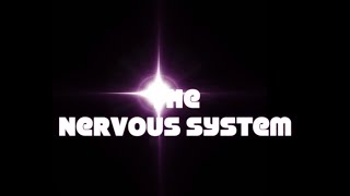 The Nervous System (VETERINARY TECHNICIAN EDUCATION)