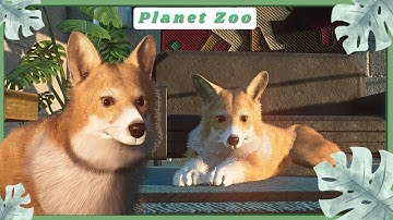 CORGIS IN PLANET ZOO! - Planet Zoo Mod-Making