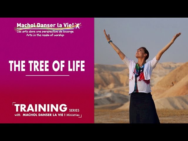 MACHOL TRAINING SERIES - THE TREE OF LIFE (English version) class=