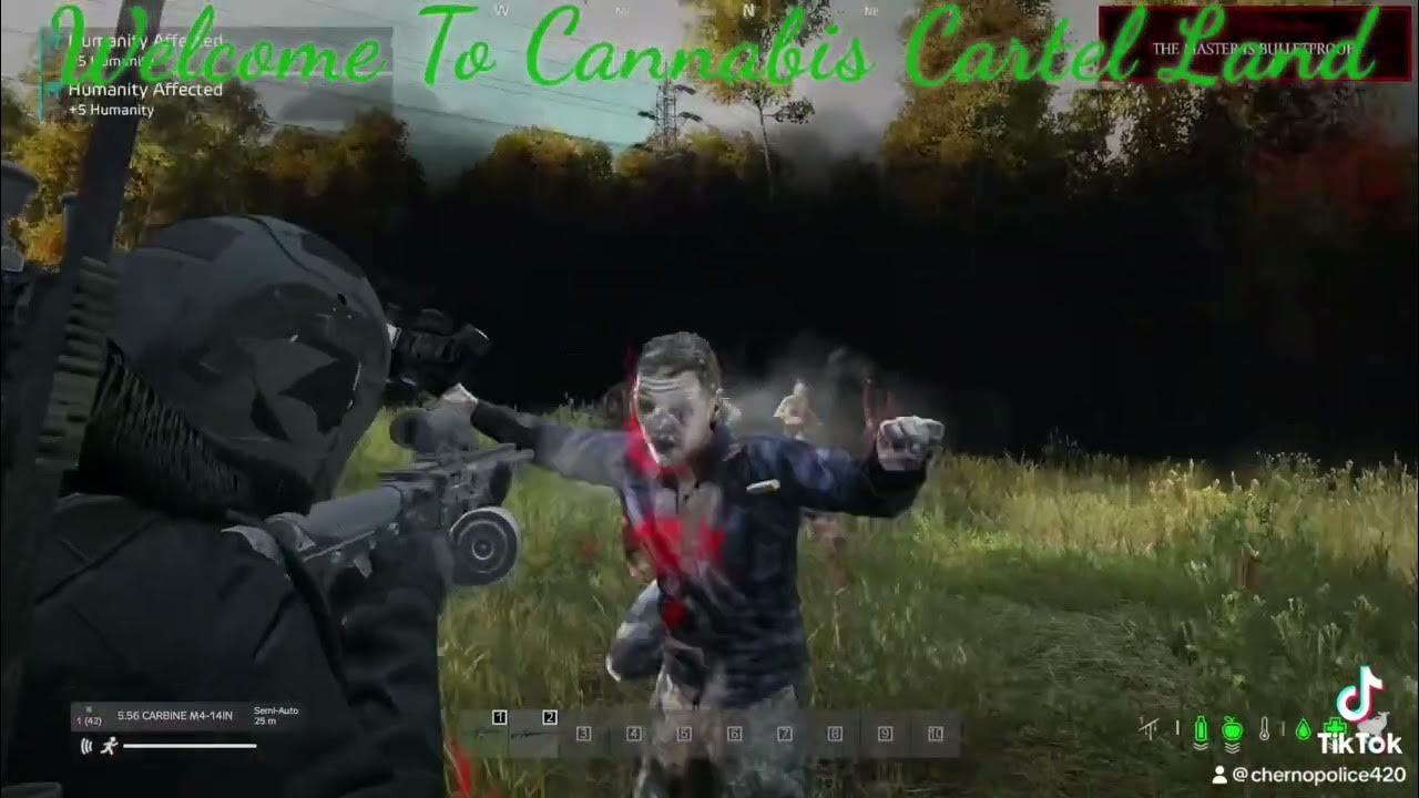 The best dayz servers to play in 2024 youtube