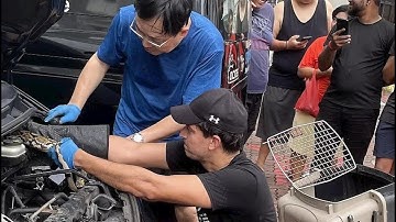 2m-long python injured after being pulled out of car in Marine Parade